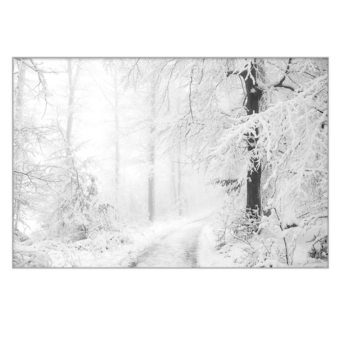 The picture shows a snowy, foggy forest, with a forest road in the middle of the picture.