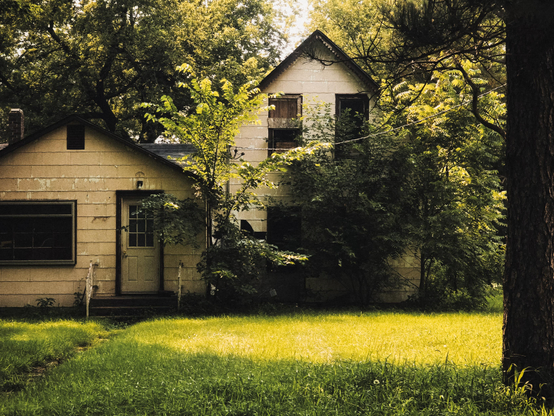 An old, weathered house surrounded by dense foliage stands against a backdrop of tall trees. A lush, green lawn stretches towards the viewer, conveying a sense of neglect and serenity.