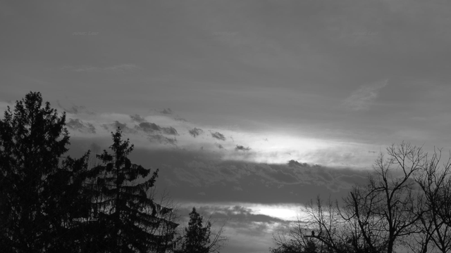 Clouds, trees, black and white, photo