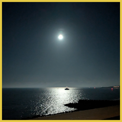 The Supermoon, about 45° above the horizon, illuminates the water of the Western Scheldt. A small boat sails through the moonlight track.