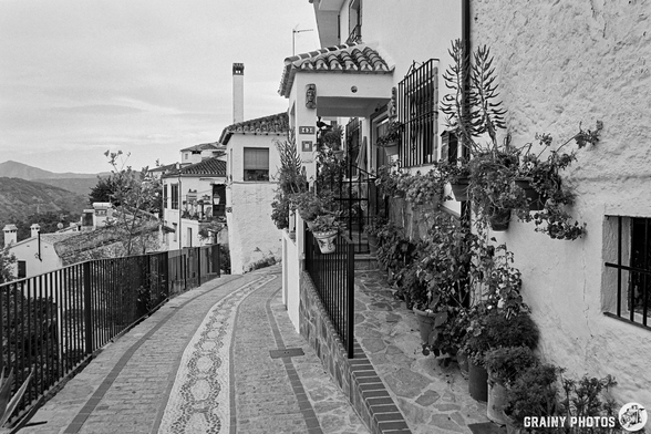 A charming narrow pathway winds through Benalauría, lined with picturesque white buildings adorned with vibrant plants and flowers, leading to a welcoming entrance, with hills visible in the background.