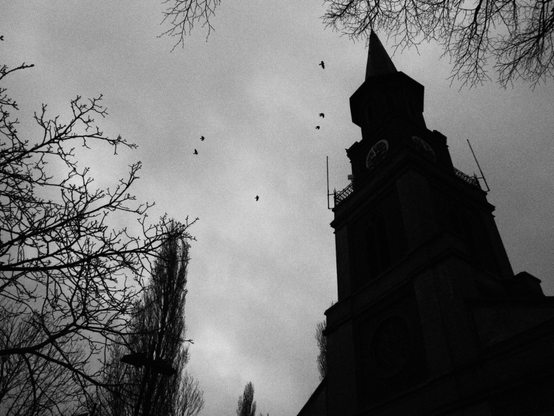 Photographie en noir et blanc; les silhouettes d’un clocher et d’arbres s’élancent vers un ciel gris. Six oiseaux volent.