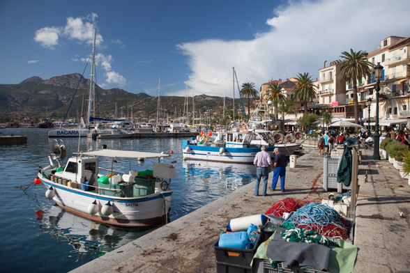 A picturesque harbor scene featuring several fishing boats and yachts moored in calm waters. Palm trees line the waterfront, where people are strolling and conversing. The backdrop includes mountains and a clear blue sky with some clouds. Fishing gear and nets are scattered along the pier.