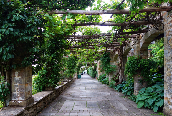 A serene, covered walkway in a lush garden, framed by a rustic stone and vine pergola. The path is paved with stone slabs, inviting visitors to stroll beneath the intertwined branches and vibrant green foliage. The arches, constructed from weathered stone, are adorned with climbing plants, creating a natural canopy overhead. Large, verdant leaves and trailing vines add to the tranquil, secluded atmosphere, while the dappled sunlight filters through the leaves, casting gentle shadows on the ground. The scene exudes a sense of peacefulness and connection with nature, ideal for a leisurely walk or quiet contemplation.