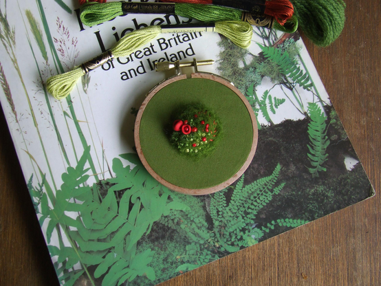 A small embroidery hoop sits on top of an open botanical book about mosses and lichens. Inside the hoop is a textured, moss-like green embroidery with tiny red and green stitched details resembling lichen. Several skeins of green, red, and orange embroidery floss lie above the hoop, and the book’s cover shows illustrations of ferns and grasses. The scene is arranged on a wooden surface.