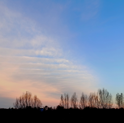 Nuvole sfilacciate si tingono di rosa durante il tramonto. In basso le sagome di albero spogli.