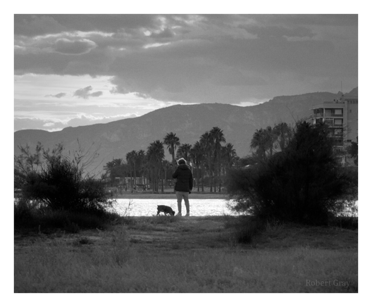 A dog walker stands by the water, looking at his phone. He is backlit by the setting sun. He is framed by trees and shrubs. In the distance is a hotel and a mountain range. This image is in monochrome.
