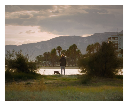 A dog walker stands by the water, looking at his phone. He is backlit by the setting sun. He is framed by trees and shrubs. In the distance is a hotel and a mountain range. The image is in colour.