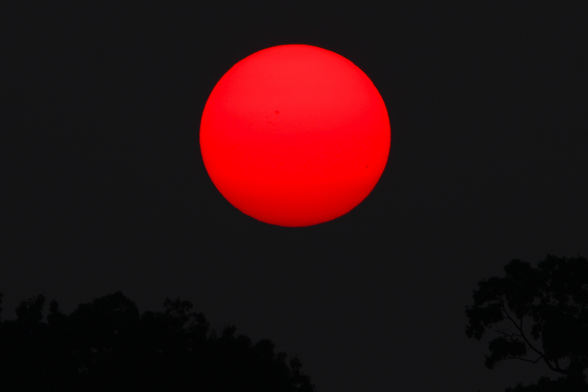 Photograph of a large red sun against a black background 