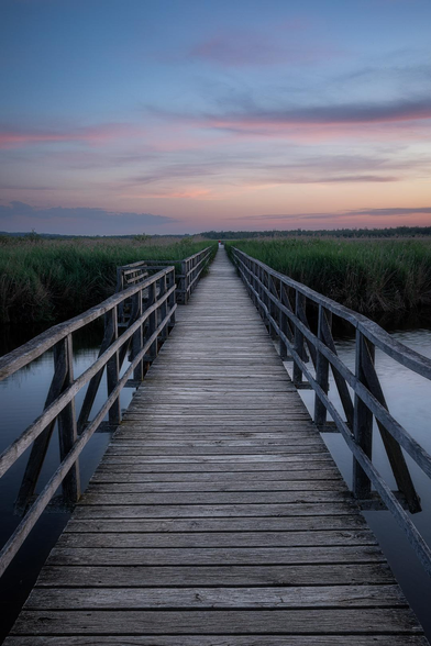 Ein aufgeständerter Weg führt vom Betrachter schnurgerade bis fast zum Horizont. Es handelt sich um einen Besucher-Pfad am Federsee in Baden-Württemberg. Der Weg ist beiderseits von einem hölzernen Geländer gesäumt. Im vorderen Bereich sieht man rechts und links das Wasser des Sees. In der Bild-Mitte befindet sich das dort typische Schilf rechts und links des Weges. Die verwitterten grauen Holzplanken verlaufen quer zum Weg. Der Pastell blaue Himmel darüber ist von zart rosa beleuchteten Wolken durchzogen, die den Abschluss des Sonnenuntergangs bedeuten.