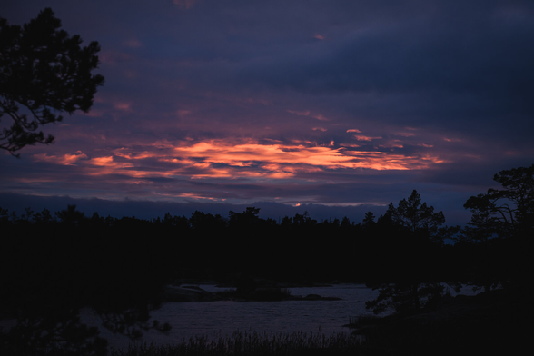 A landscape photograph of a sunset. In the foreground are pine trees on the left and right, with the tips of some reeds at the very bottom, silhouetted against the dark ripply surface of the sea. On the other side of the water is an island, covered in trees.

Above the treeline is a could covered sky, with the clouds in the middle vibrant ping/purple/orange bright hues from the setting sun and darker, blueish hues further towards the edges.