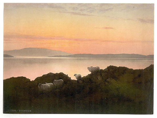 The image depicts a serene landscape at what appears to be either sunrise or sunset, as indicated by the warm hues in the sky transitioning from a soft orange to a pale blue. The sky is mostly clear with a few scattered clouds, adding depth to the scene. In the foreground, there are four sheep grazing on a grassy, hilly terrain. The sheep are white and fluffy, contrasting with the darker green of the grass. The background features a calm body of water, possibly a lake or a sea, reflecting the colors of the sky. Beyond the water, there are faint outlines of distant land or hills, adding to the sense of vastness and tranquility. The overall atmosphere is peaceful and idyllic, evoking a sense of calm and natural beauty.