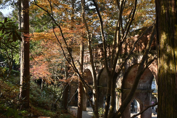 水路閣と終わり気味の紅葉。/ 2025.12.07 南禅寺から