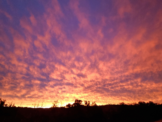 A photo of rippled clouds catching the sunset light. The whole sky is orange and grey.