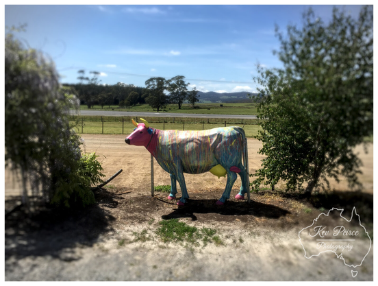 A brightly painted, life sized fiberglass cow stands in a dirt and grass area, framed by green foliage on the left and right.  The cow is decorated with vertical streaks of pink, blue, yellow, and green paint, giving it a tie dye or splatter paint look.  It has pink accents on its head and legs, including pink hooves. In the background, there's a flat, open field, and rolling hills under a bright, partly cloudy blue sky.
