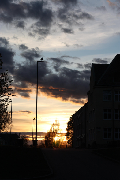 En någorlunda molnig solnedgång med en ljusblå himmel som övergår i ljusa gula toner och slutligen varm orange som skymtas. Det är dramatiskt mörka moln som delar upp dom gula och varma tonerna och till höger i bild så ser man siluetten av en gammal skola på fyra våningar. Till höger så ser man siluetter av träd och lyktstolpar, som även skymtas vid horisonten.