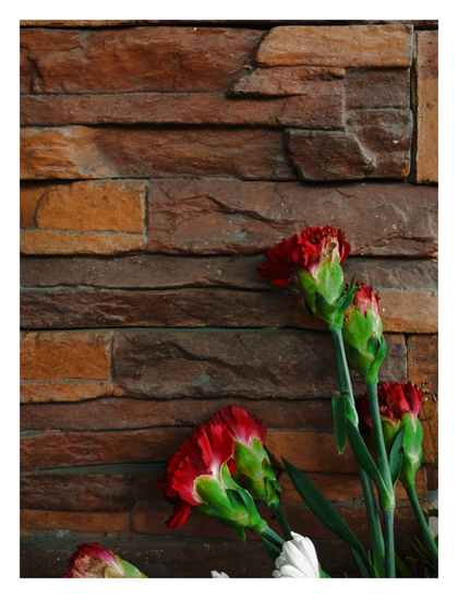 Several deep red carnations with green stems set against a rustic, textured wall made of reddish-brown stacked stones. - Google Gemini 3 Pro Preview