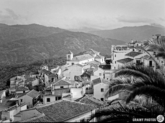 A scenic black and white view of Benalauría with whitewashed buildings and terracotta roofs, nestled among lush green mountains, featuring palm leaves in the foreground.