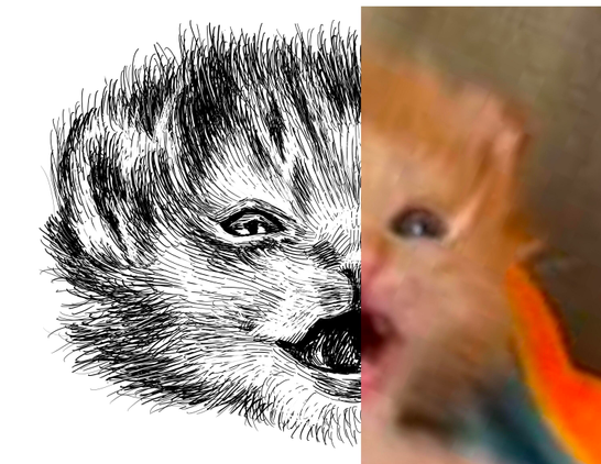 Black and white drawing of a ginger kitten named Tater Tot with a happy face, and the right half of the image being the reference.