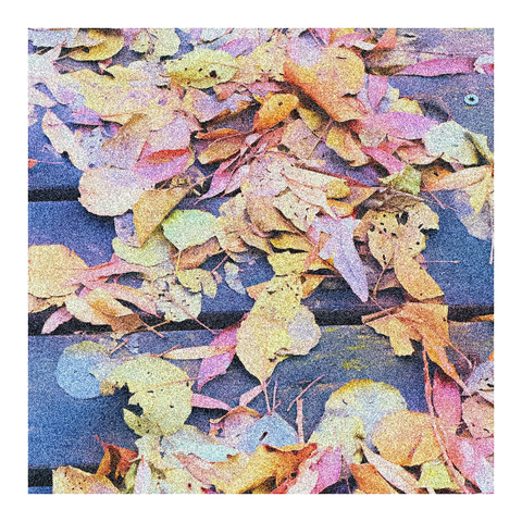 Welke noch farbige Blätter auf dem Boden