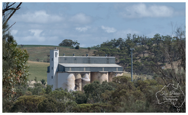 A photograph of the historic, pale grain silos, identified as the Wirrabarra Silos, situated amongst dense native scrub and trees in the foreground.  The silos consist of a central, rectangular white structure with a small tower, and five large, curving storage bins covered by a corrugated metal roof.  In the background, rolling green and brown agricultural hills stretch beneath a bright blue sky with scattered white clouds.