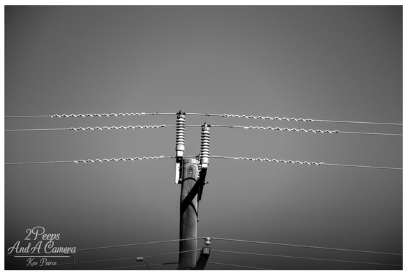 Black and white photograph showing the upper portion of a wooden utility pole against a bright, featureless sky.

The focus is on two ceramic insulators connecting three twisted aerial cables, two above and one below the insulators. The image is cropped to emphasize the pattern and texture of the wires and the contrast of the pole.
