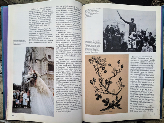 Another spread from the book, showing a creepy hoden horse, berries, and a person in a costume holding a sword 