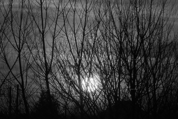 Sunset, black and white, photo