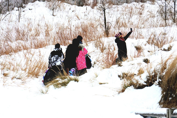 A group of sledders gathers for a selfie on Devil's Slide with the Chicago skyline in the background of their picture. There is tall tan grass poking out of the snow-covered scenery. 