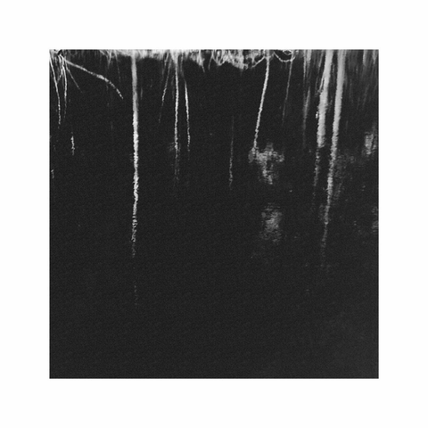 another monochrome reflection of some bright trees and tree trunks in the dark water of a little pond. the square image only shows a tiny detail of these bright directional strokes on a otherwise dark background so that the overall feel of this photograph is almost abstract