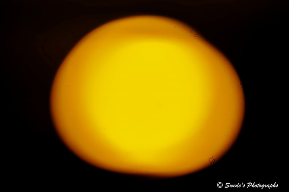 Golden Pulse

"This image captures the Sun not as a crisp celestial body, but as a glowing, blurred ember suspended in a vast dark void. The orb dominates the frame—its edges soft and hazy, as if gently smudged by a cosmic thumb. The color is a molten blend of golden yellow and deep orange, like a hearth fire seen through sleep-heavy eyes. There’s no harsh glare or sharp detail—just a warm, pulsing presence, radiating quiet intensity.

The surface appears mottled and textured, like the skin of a fruit held too close to candlelight. It evokes the sensation of warmth more than the sight of heat—a dreamy impression of the Sun rather than its scientific portrait. The surrounding darkness deepens the contrast, making the Sun feel both intimate and immense, like a memory of light rather than its direct witness.

This image feels less like astronomy and more like reverence—a blurred relic of the sky’s furnace, softened by distance or emotion." - Microsoft Copilot