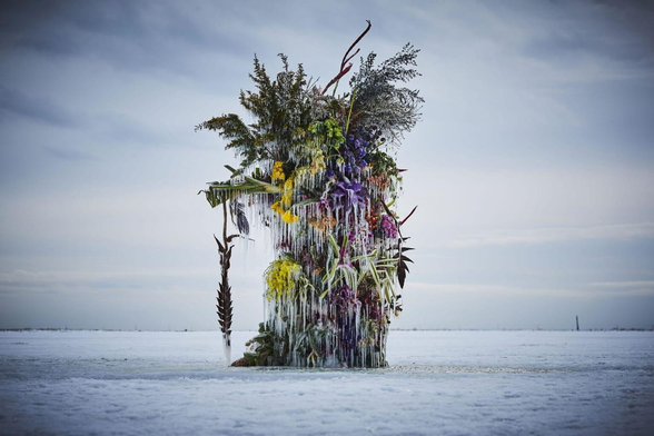 a frozen floral installation