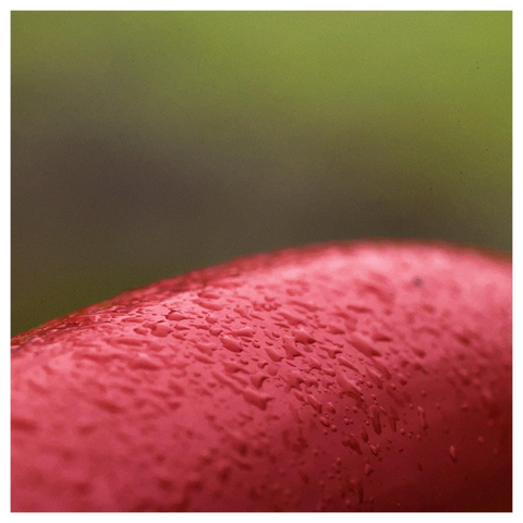 En fyrkantig bild på regndroppar på röd metall med grön bakgrund.