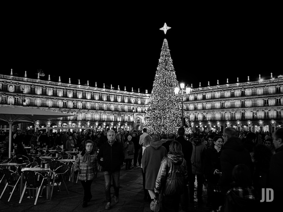 Imagen en blanco y negro muestra una escena nocturna festiva en la Plaza Mayor de Salamanca, España.
Los elementos destacados incluyen:
• Decoración Navideña: Un gran árbol de Navidad cónico, densamente iluminado y coronado por una estrella brillante, se erige como el punto focal central.
• Ambiente Urbano: La plaza está llena de personas paseando y disfrutando de la velada.
• Arquitectura: Se aprecia la fachada histórica iluminada que rodea la plaza, con sus característicos balcones y arcos.
• Mobiliario Exterior: En primer plano a la izquierda, se observan mesas y sillas de una terraza de café, preparadas para los visitantes.
La fotografía captura el contraste entre las luces brillantes de la temporada y las sombras de la noche en este emblemático espacio público.
