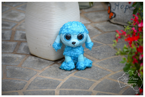 A small, bright aqua blue stuffed poodle toy with large, glittery black eyes sits centered on a patio paved with gray, fan shaped cobblestones.  To its left is a textured, off white vase. The toy is surrounded by soft focus foliage, including vibrant red flowers on the right.