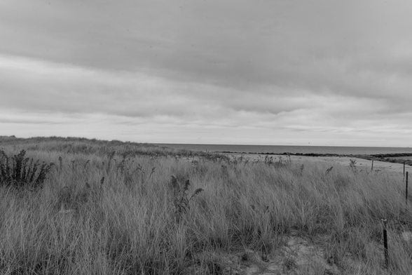 Soft fluffy grass in most of the field with a little dirty at the bottom right and at the right edge of the water below the horizon with detailed overcast clouds.