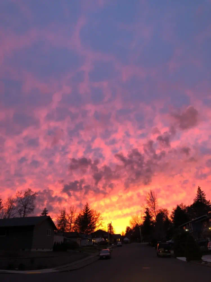 Bright and colorful sky in a gradient from yellow to pink. Some small puffy translucent clouds and a tree-lined horizon are silhouetted by the waning light.
