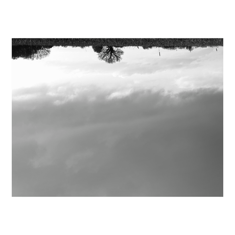 Big sky and a little piece of field. The image is upside down. (Version françæ) Granx ciel et toux petix bout de champ. L’image est à l’envers.