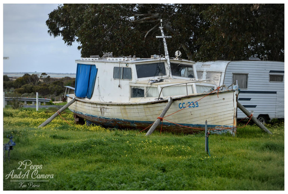 A weathered white wooden fishing boat, sits on a patch of bright green grass and yellow wildflowers, propped up on wooden supports.

A large, dark green tree provides a backdrop, and the rear of a white caravan is visible to the right.