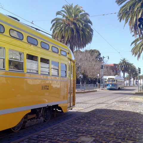 A sunny color photo of two old-timey street cars facing each other seperated by an intersection surrounded by palm tree lined brick laid streets. The closer tram to the left is partially visible is a very vivid yellow top and ornage bottom and the farther tram is a white top with a blue bottom, both looking very vintage and dapper. Shot with a Rolleiflex Standard1935 and ZeissTessar75f3.5 lens, on KodakGold200, and developed with BelliniC41 by Shom Bandopadhaya. Licensed under Creative Commons Attribution-NonCommercial-ShareAlike (CC BY-NC-SA).