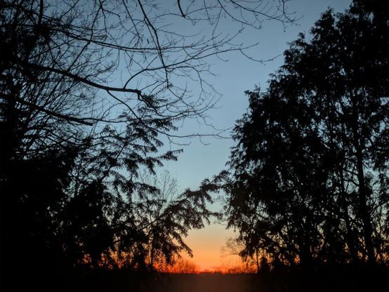 Photo of the eastern horizon as seen through a clearing in the woods, before dawn. The scene is framed by the dark silhouettes of trees. The horizon is beginning to glow red and orange from the sun — still below the horizon.