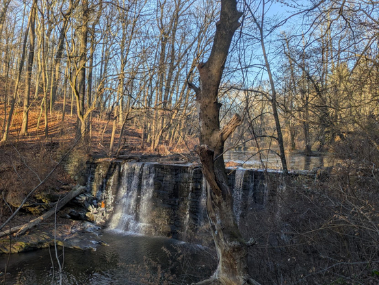 Photo of a low waterfall in the woods. The trees on both sides are bare. There is a thin layer of ice on the water's surface above the lip of the waterfall. There is also ice from the splash of the waterfall near the left bank. The sky is bright blue.