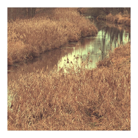 Ein Kanal mit vertrocknetem Schilf an den Rändern 