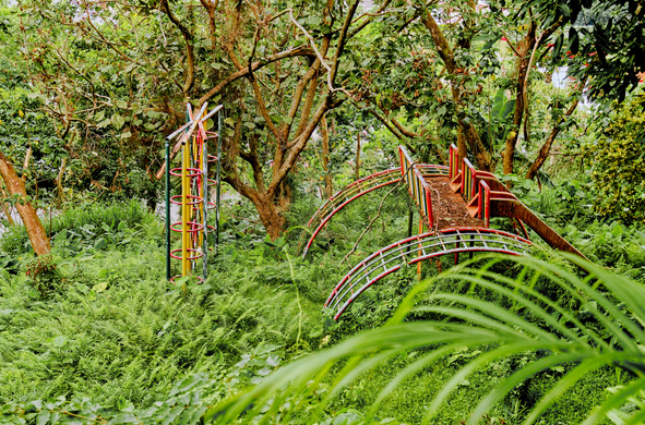 Derelict playground equipment overgrown by vegetation.