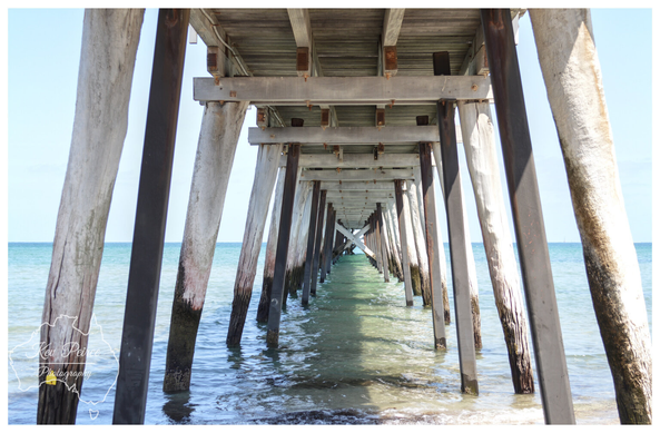 A low angle photograph taken directly under a wooden pier (likely Largs Bay, South Australia). The image is symmetrical, showing the repeating pattern of massive, slanted wooden piles holding up the pier's structure.

Gentle waves break on the shore, revealing clear, turquoise water under a bright sky.