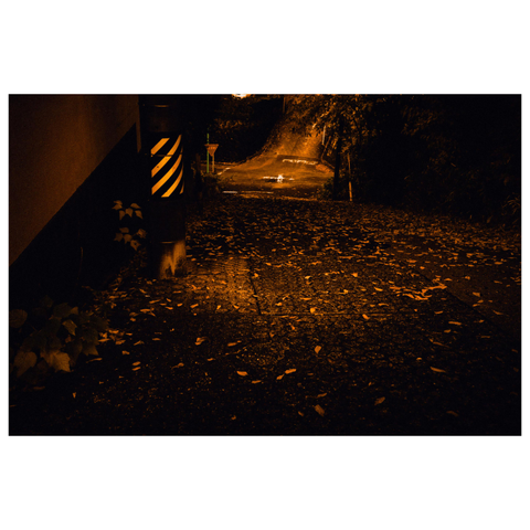 A dark nighttime photo of a narrow, sloping street covered in scattered yellow leaves. The scene is illuminated by a single warm streetlight, casting a golden glow over the pavement. A striped utility pole stands on the left, and the road curves into deeper shadow ahead.