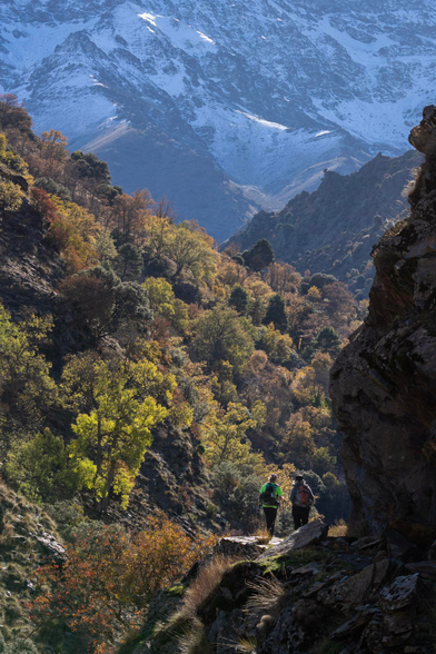 2 hikers on a path in the bottom right in shadow are surrounded by autumnal colored trees. In the background the snow slopes of a mountain (Alcazaba)