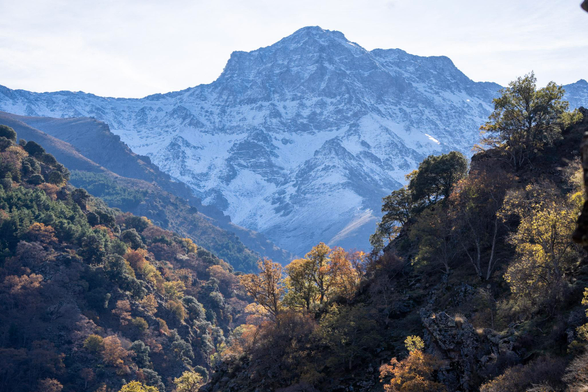 Autumnal colored trees. In the background the snow slopes of a mountain (Alcazaba)