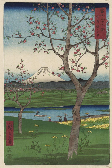 Grabado ukiyo-e de un paisaje con el monte Fuji al fondo, blanco. En primer plano un arbol en flor ocupa la mayor parte de la izquierda y centro del cuadro, otro árbol similar más pequeño por la distancia se situa al centro izquierda. Una ambos se encuentran sobre una pradera verde en el tercio inferior del xuadro que en un triangulo en el centro derecha esta cubierto de flores amarillas, un lago ocupa la parte central del cuadro, con personas en la orilla con sombrillas, una pequeña barca cruza por el lago. Sobre el lago otra franja de pradera verde da paso a unas estribaciones montañosas tras las que se encuentra en el centro superior izquierdo el monte Fuji. Cubriendo el resto del cuadro el cielo en degradado azul.