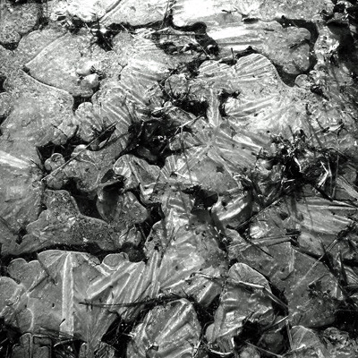 凍結した水面に形成された、光と影のコントラストが強いモノクロームのテクスチャ。自然が作り出した鋭利な形状と筋状のパターン。